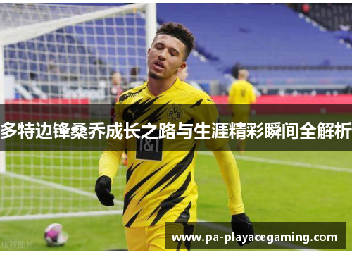 多特边锋桑乔成长之路与生涯精彩瞬间全解析