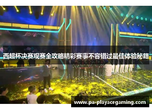 西超杯决赛观赛全攻略精彩赛事不容错过最佳体验秘籍