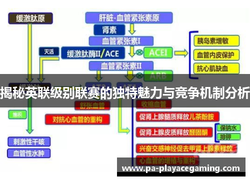 揭秘英联级别联赛的独特魅力与竞争机制分析