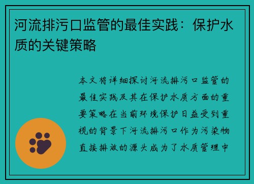 河流排污口监管的最佳实践：保护水质的关键策略