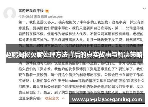 赵鹏揭秘欠薪处理方法背后的真实故事与解决策略