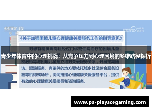 青少年体育中的心理挑战：从竞争压力到心理困境的多维路径探析