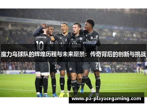 魔力鸟球队的辉煌历程与未来愿景：传奇背后的创新与挑战