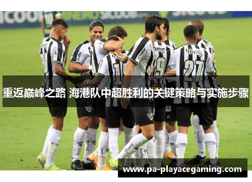重返巅峰之路 海港队中超胜利的关键策略与实施步骤