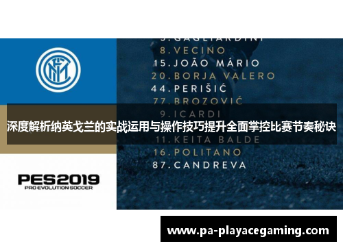 深度解析纳英戈兰的实战运用与操作技巧提升全面掌控比赛节奏秘诀 深度解析纳英戈兰的实战运用与操作技巧提升全面掌控比赛节奏秘诀