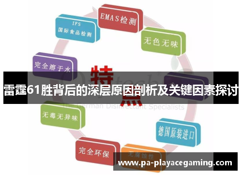 雷霆61胜背后的深层原因剖析及关键因素探讨